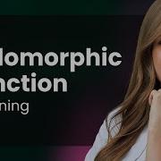 Demystifying Holomorphic Functions A Guide For Beginners