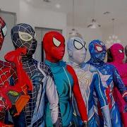 What If Many SPIDER MAN In 1 HOUSE SPIDER MAN S Story New Season 3 All Action Funny