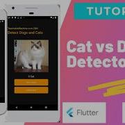 Cat Vs Dog Detector App How To Create Dataset Model Tflite Teachable Machine Flutter