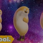 Bouncing SealsㅣSEALOOKㅣEP 5
