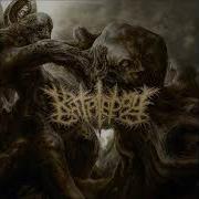 Katalepsy Babykiller Devourment Cover HQ