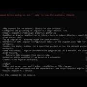 How To Fix Ng Not Recognized Issue Angular Use Ng Version Instead Of Ng V Or Ng Version