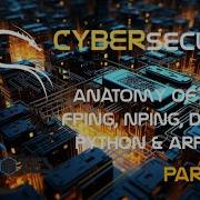 Anatomy Of A Ping Linux Cybersecurity Ping Arp Pythonprogramming