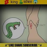 King क बर MRINDIANHACKER Mikecrack Mikecrack Shorts Short Viral Tiktok Ytshorts Yt