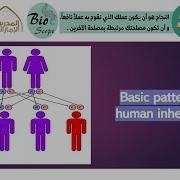Basic Patterns Of Human Inheritance Part 1