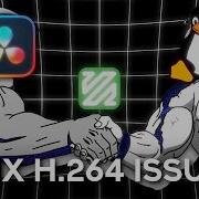 Fix DaVinci Resolve Video Import On Linux With FFmpeg Bash Scripting
