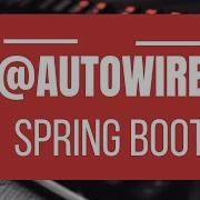 Autowired Annotation Constructor Setter Field Injection Spring Boot Annotations Series 2