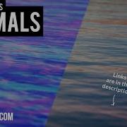 Bump Maps Normals In Blender How Do They Work