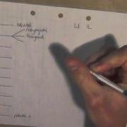 The Lumbosacral Plexus Made Easy To Remember