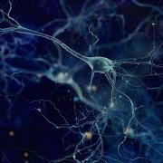 Increase Brain Power Enhance Intelligence IQ To Improve Binaural Beats Improve Memory