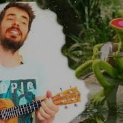 RAINBOW CONNECTION Ukulele Tutorial The Muppets Movie Kermit On The Banjo