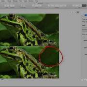 Convert Bitmaps To Vectors With AI CorelDRAW For Mac