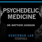 Essentials Psychedelics For Treating Mental Disorders Dr Matthew Johnson