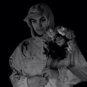 Mr Kitty FRAGMENTS Official Video