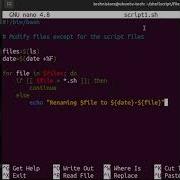 Shell Scripting Modify Certain Files With If Statement