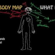 THE BODY MAPPING TOOL