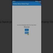Flutter Task Increment And Decrement Counter