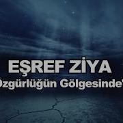EŞREF ZİYA ÖZGÜRLÜĞÜN GÖLGESİNDE