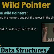 Understanding The Wild Pointers
