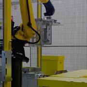 Palletizing Robot Handling A Variety Of Boxes