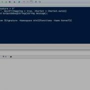 Porting Binary Modules P Invoke Example Demo OutputDebugString