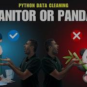 Master Data Cleaning With PyJanitor In Python An Amazing Library Part 1