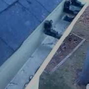 Seamless Gutter Guard Repair After Pine Tree Damage