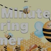 20 Minute Spring Timer 2023