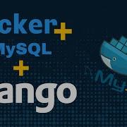 Как подключить Django к MySQL в контейнере Docker