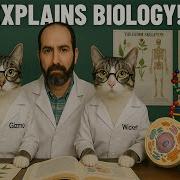 Chapter 5 Part 1 Of 2 Membrane Structure And Function From The Openstax Biology 2e Textbook