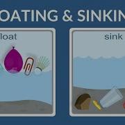 Float Or Sink Why Do Things Float Why Do Things Sink Lesson For Kids