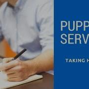 Puppet Server Taking Help