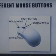 Class 1 Chapter 6 Know About Mouse