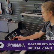 Scott Demos The Yamaha P 143 88 Key Black Portable Digital Piano