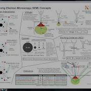 Scanning Electron Microscopy SEM Concepts