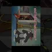 When You Get An Error In Shorts Ytshorts Coding Tomandjerry Testcases