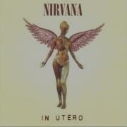 Nirvana Scentless Apprentice Lyrics