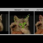 PD2T Person Specific Detection Deformable Tracking