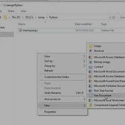 Python Basics User Input