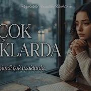 Çok Uzaklarda Caddelerde Rüzgar Nilüfer Psychedelic Anatolian Rock Cover 70s Turkish Rock