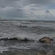 Windsurfers Umag Croatia