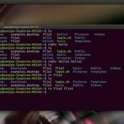 Shell Scripting Tutorial 3 Create Delete File Or Directory More