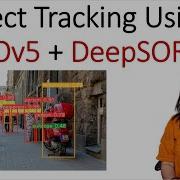 Object Tracking Using DeepSORT And YOLOv5 Multi Object Tracking