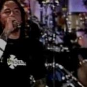POD School Of Hard Knocks Live