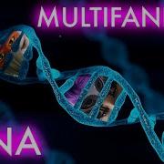 Multifandom DNA