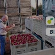 Pixofarm Bin Scan