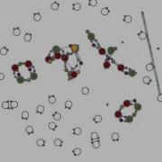 Biological Immortality Stressed Jellyfishes And Chemlambda Quines