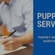 Puppet Server Noop And Audit
