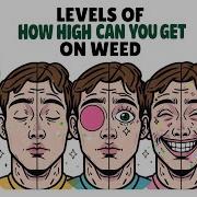 The Levels Of High On Weed