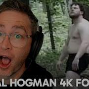 БИЛМУРИ БОЛЬШЕ ЧЕМ НЕНАВИСТЬ Реакция Реальные кадры Hog Man 4K